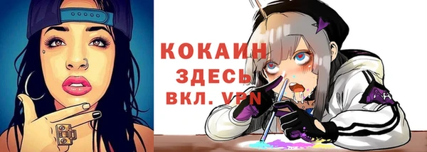 стаф Гусь-Хрустальный