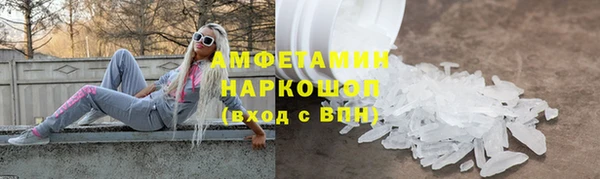 индика Дмитриев