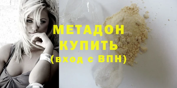 индика Дмитриев