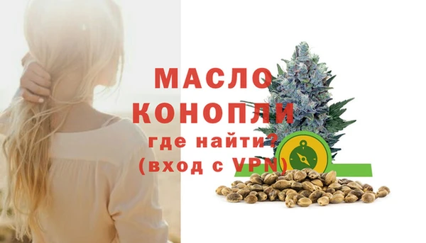 индика Дмитриев