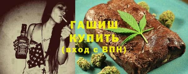 индика Дмитриев