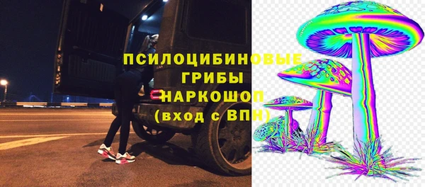 индика Дмитриев