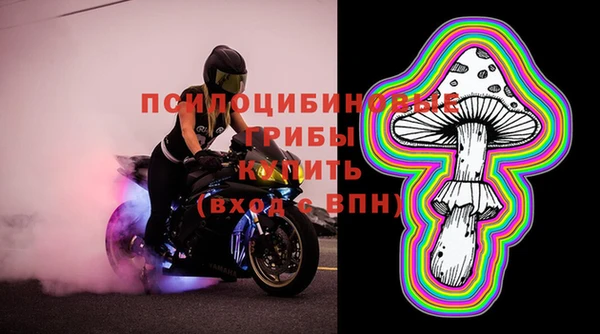 крисы Гусев