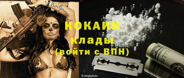 индика Дмитриев