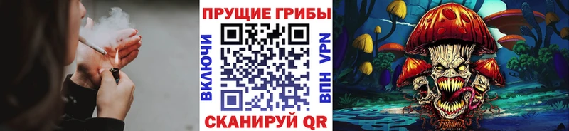 Галлюциногенные грибы Cubensis  Новоаннинский 